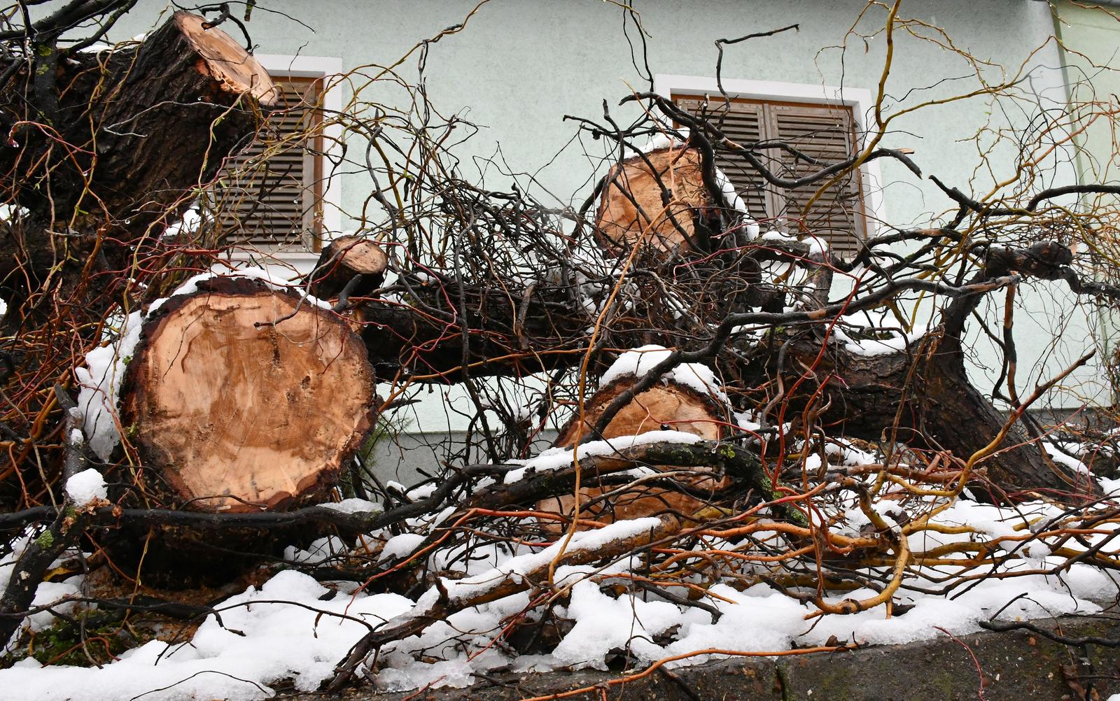 Slavonski Brod: Zbog snježnih oborina polomljena stabla pala na prometnice