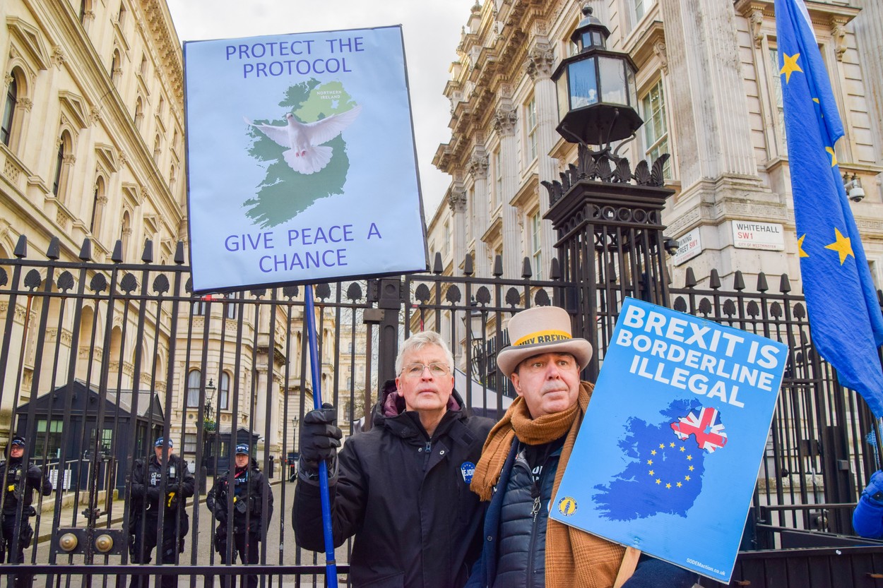 Northern Ireland Protocol protest outside Downing St