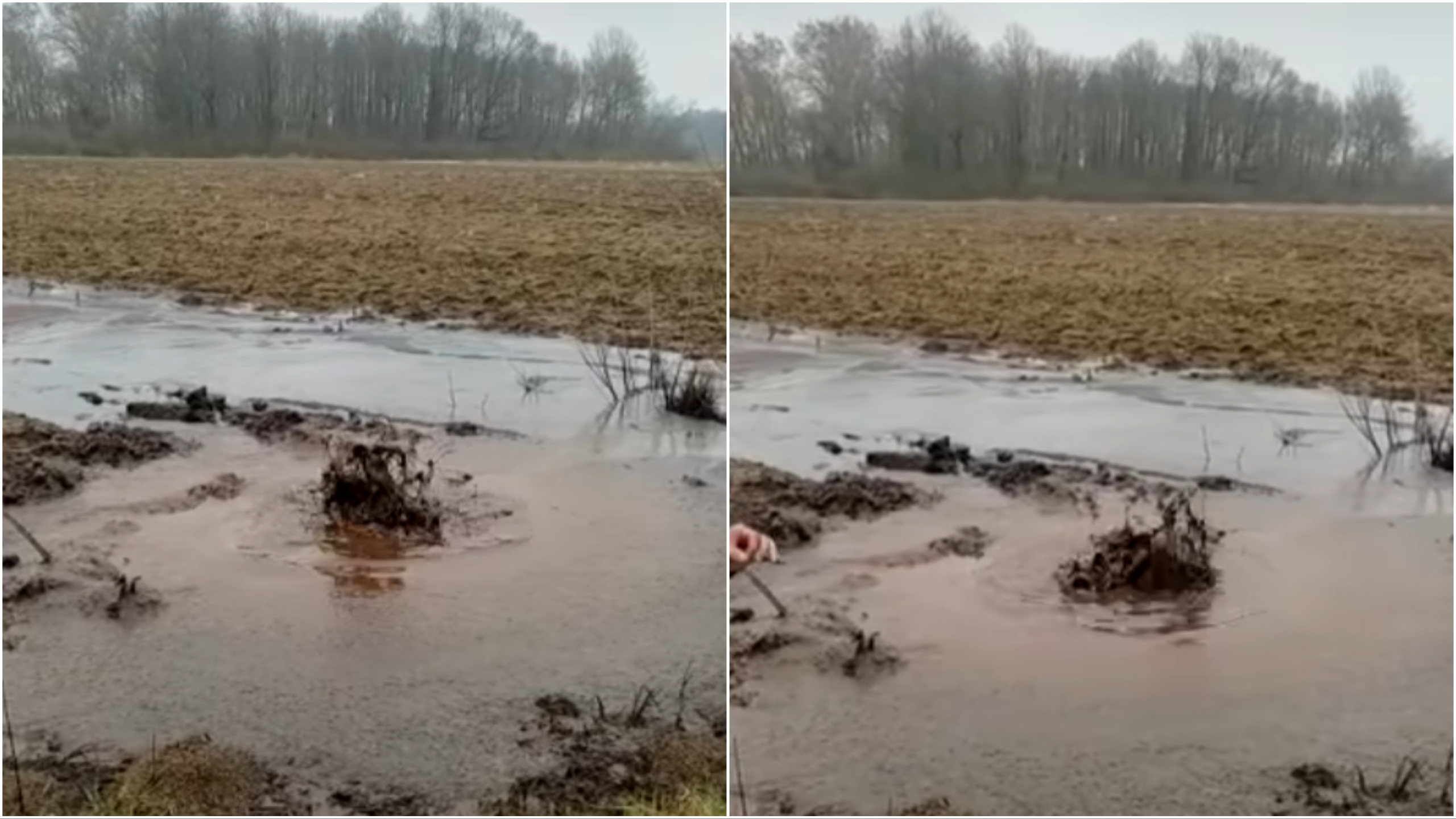 Collage Maker-03-Mar-2023-01-11-PM-4192