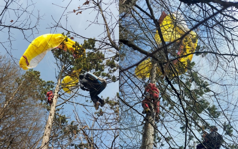 Screenshot_Facebook HGSS