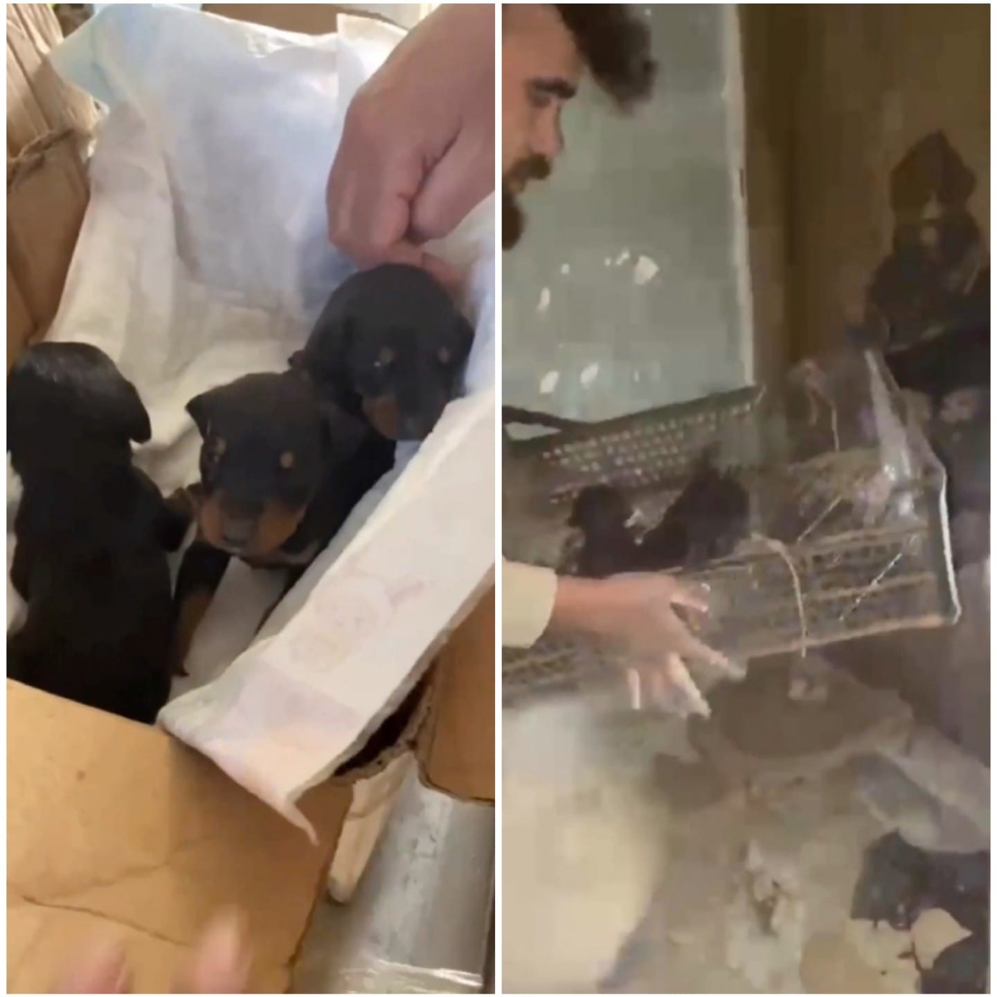 WhatsApp Image 2023-03-08 at 16.45.12