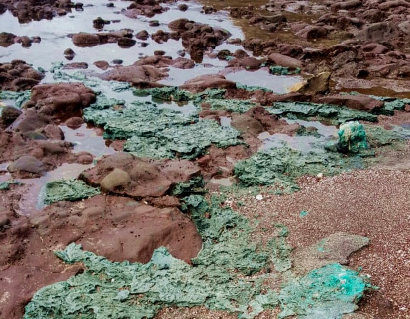 profimedia-0764102127