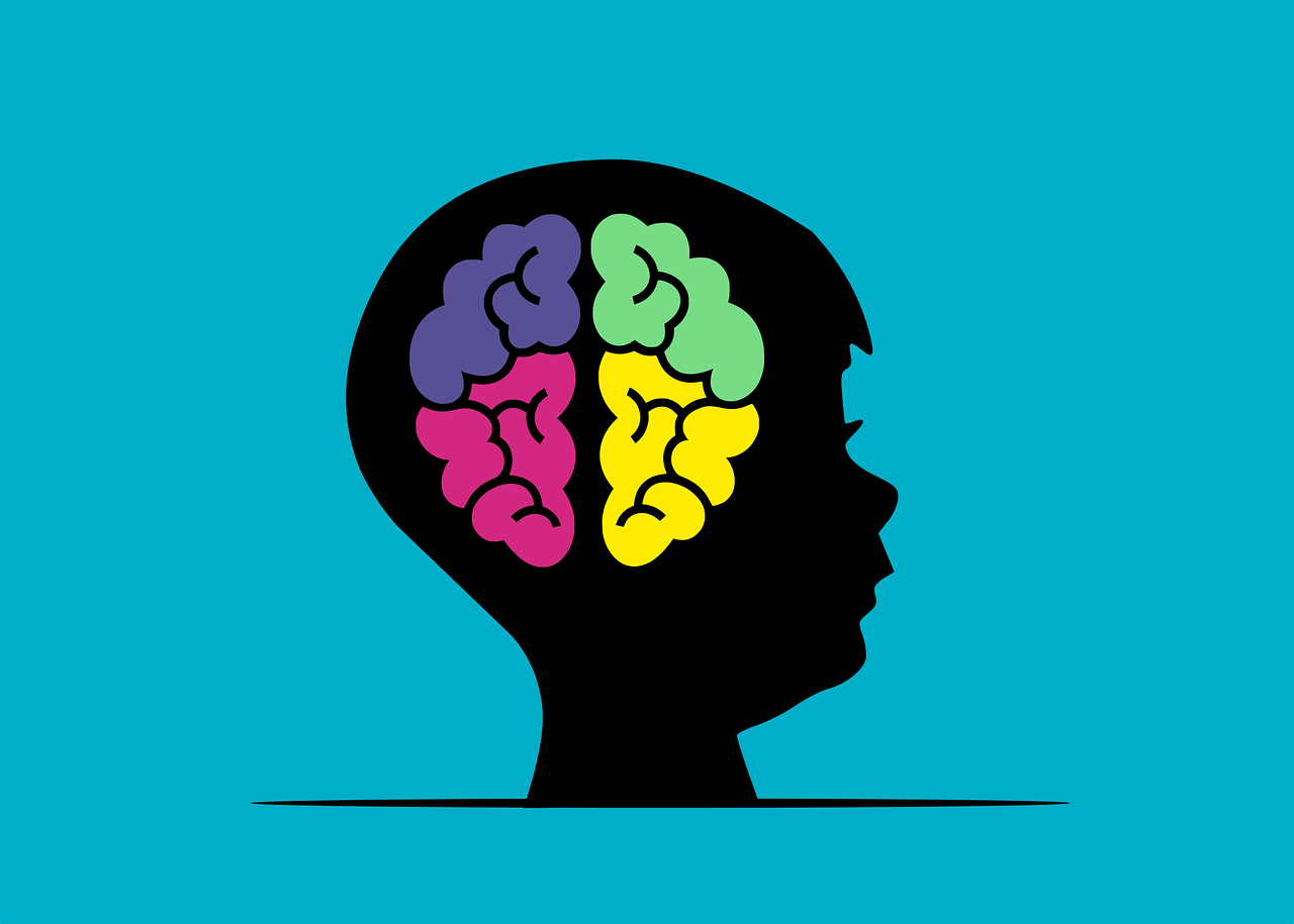 mozak, mozgalica, zagonetka