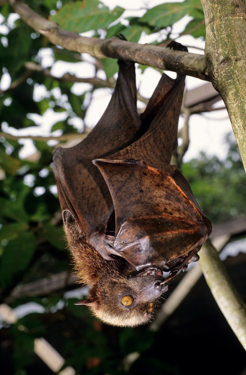 profimedia-0691217892