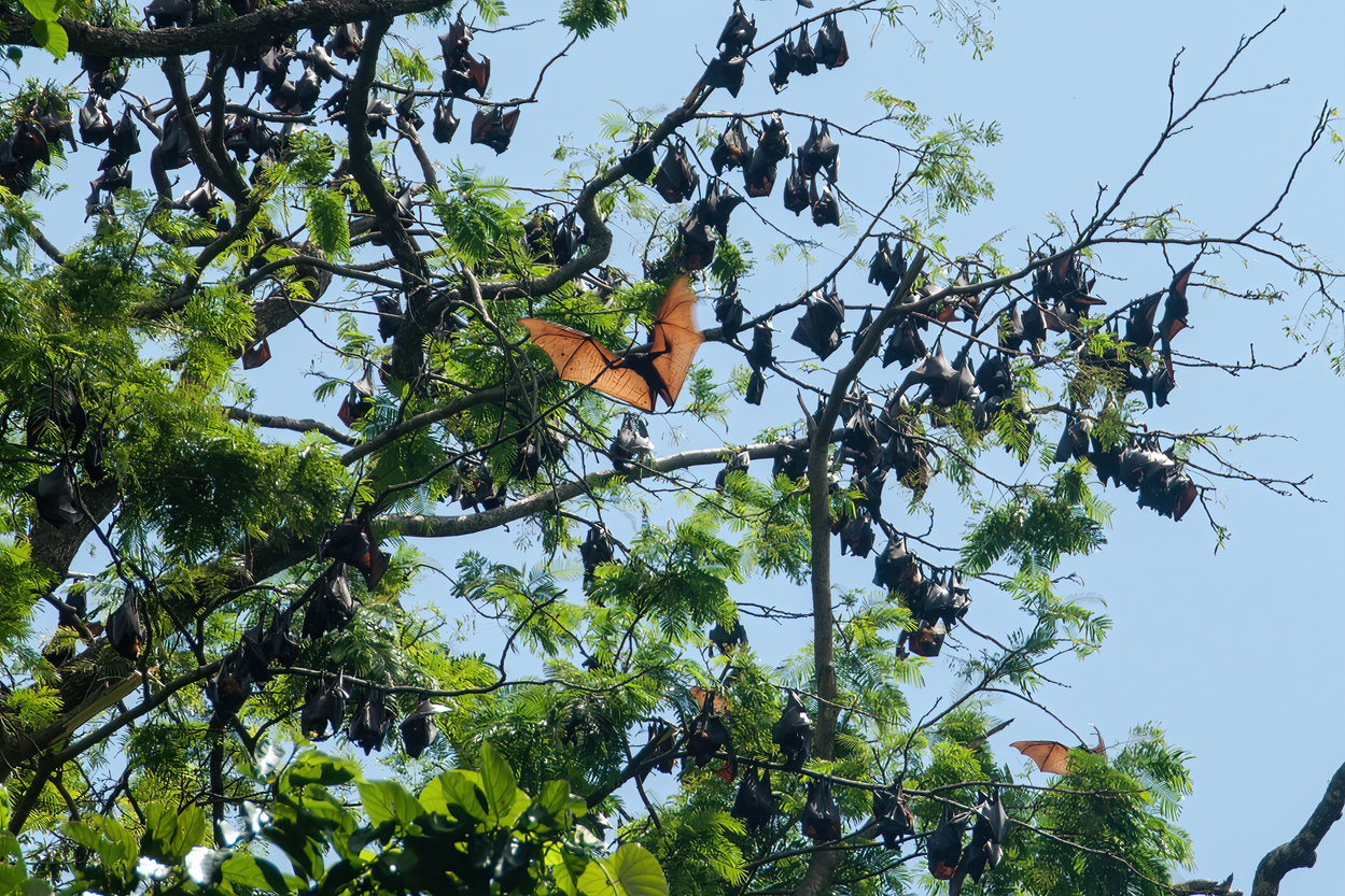 profimedia-0747776689