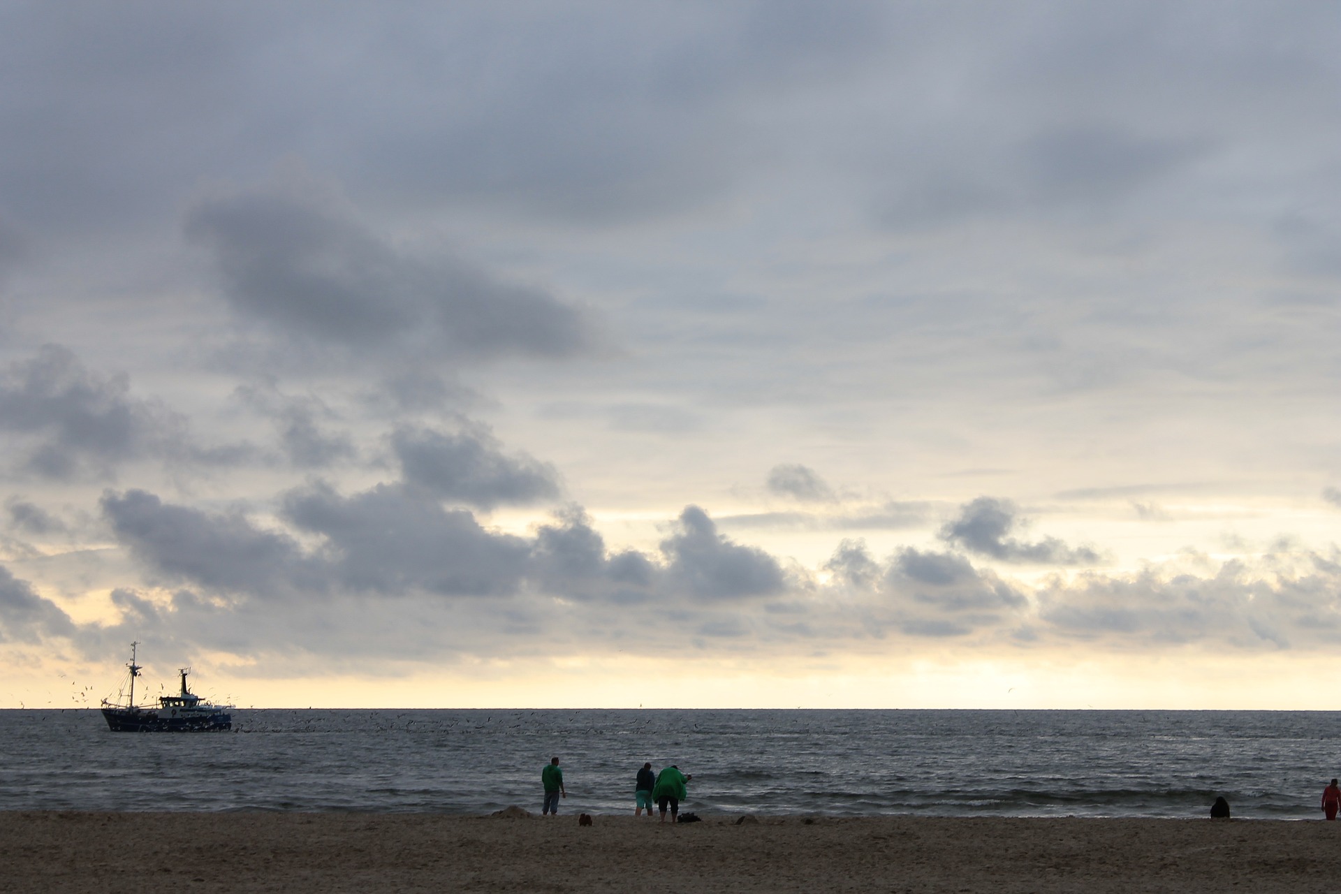 texel, plaža, more, nizozemska