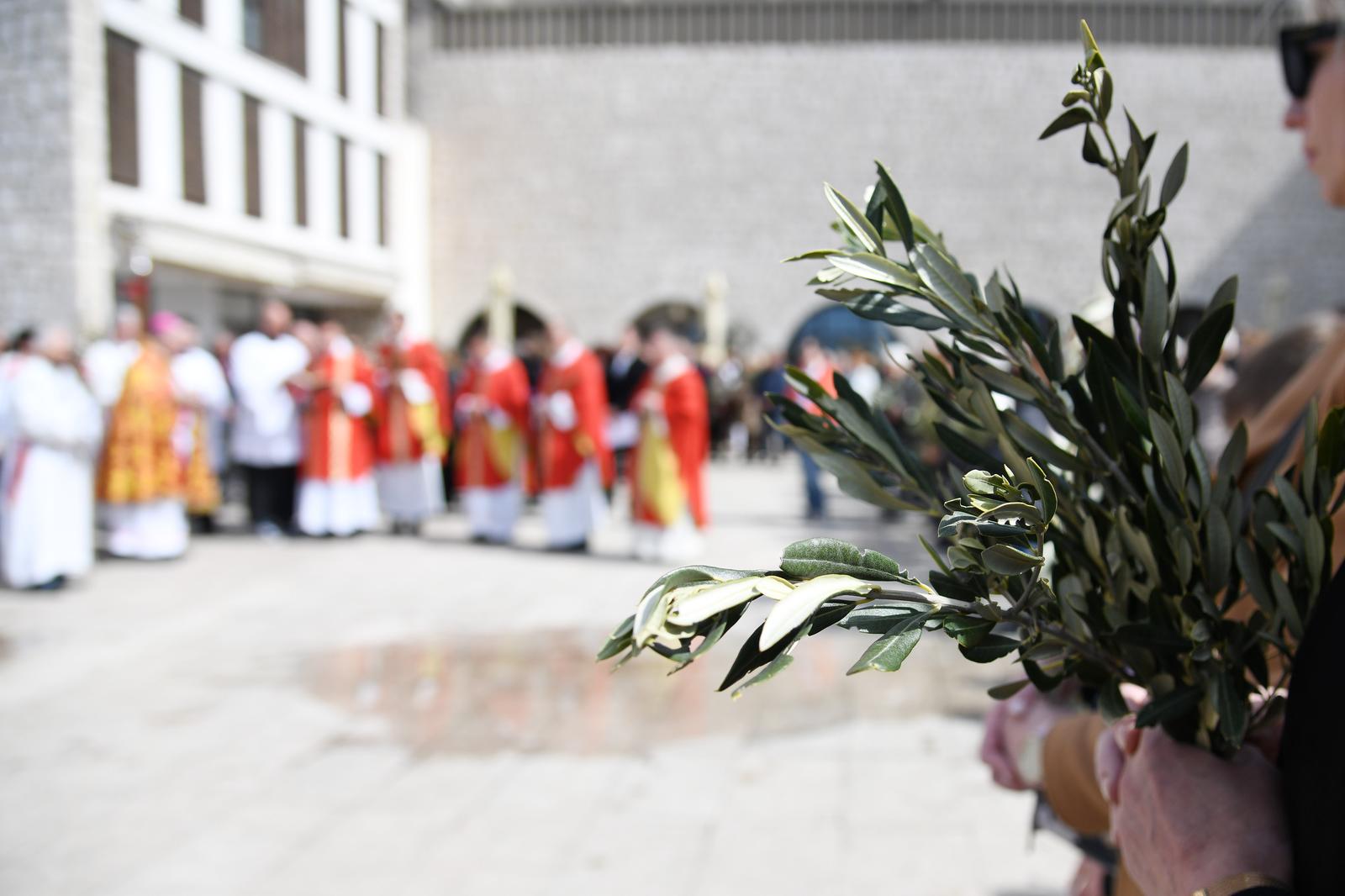 Šibenik:  Povodom blagdana Cvjetnice biskup Tomislav Rogić blagoslovio je maslinove grančice