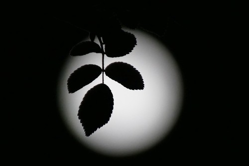 Seasonal weather, waxing gibbous moon, Dunsden, Oxfordshire, UK - 04 Apr 2023
