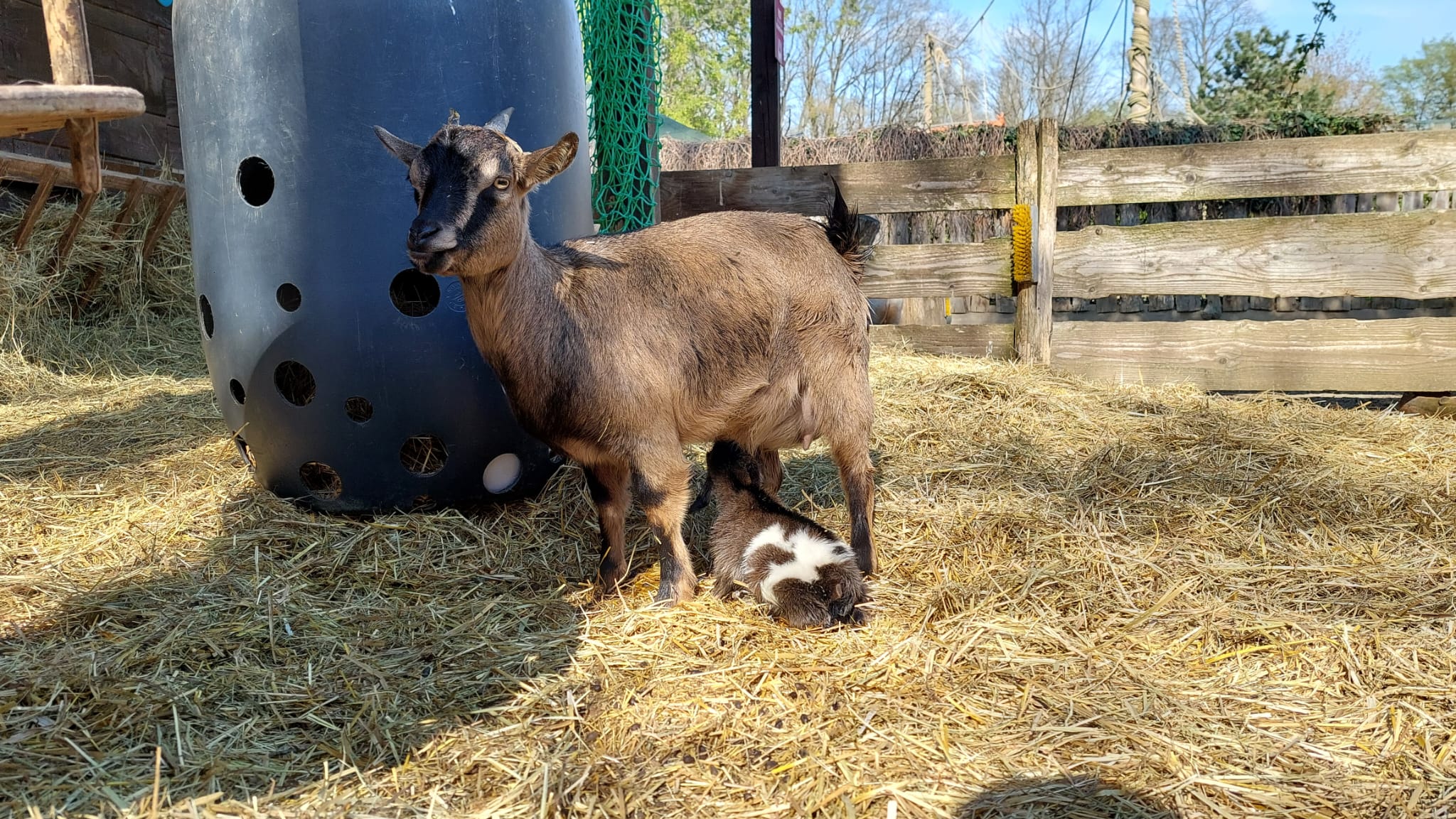 Zoološki vrt u Zagrebu