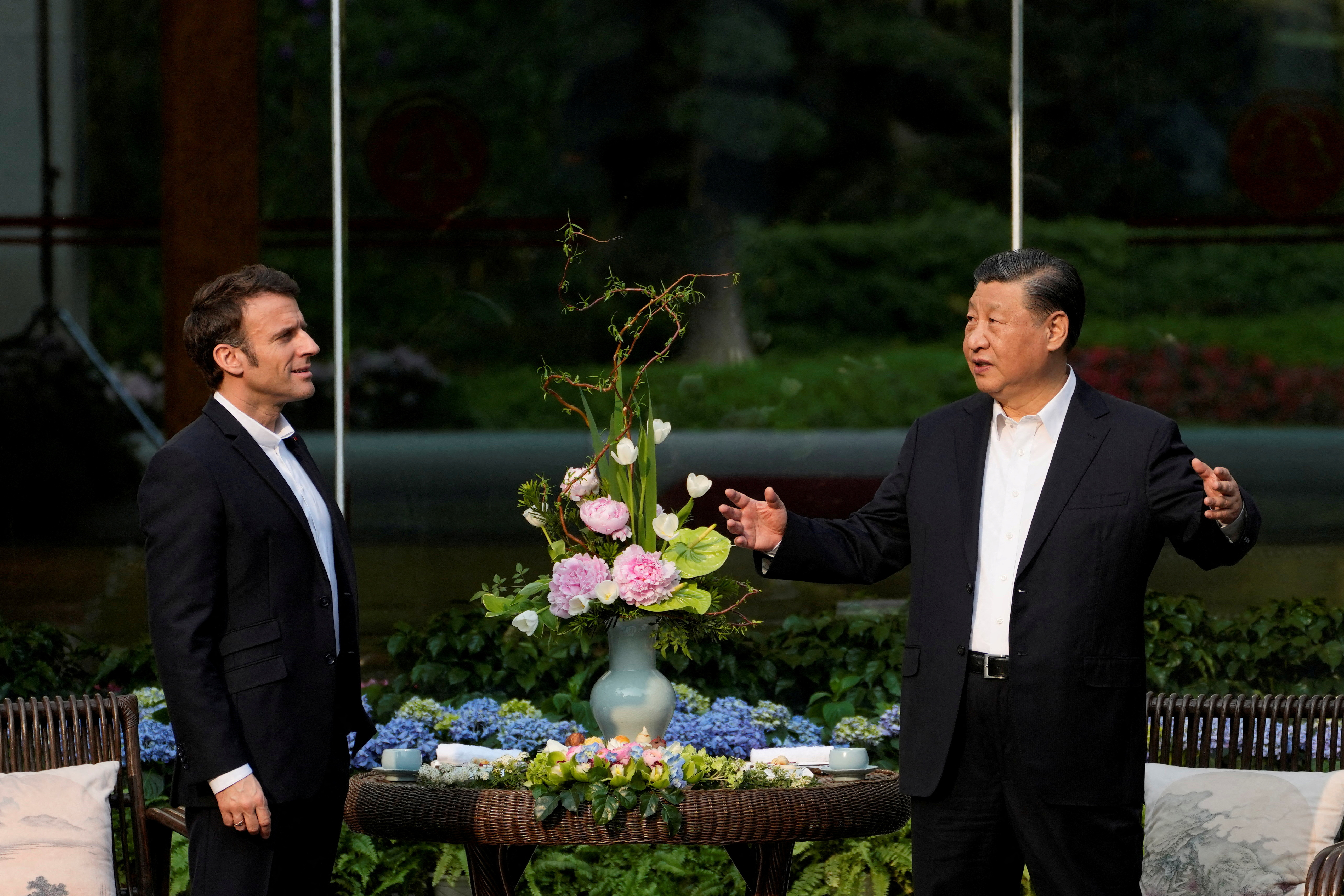 Xi Jinping,  Emmanuel Macron