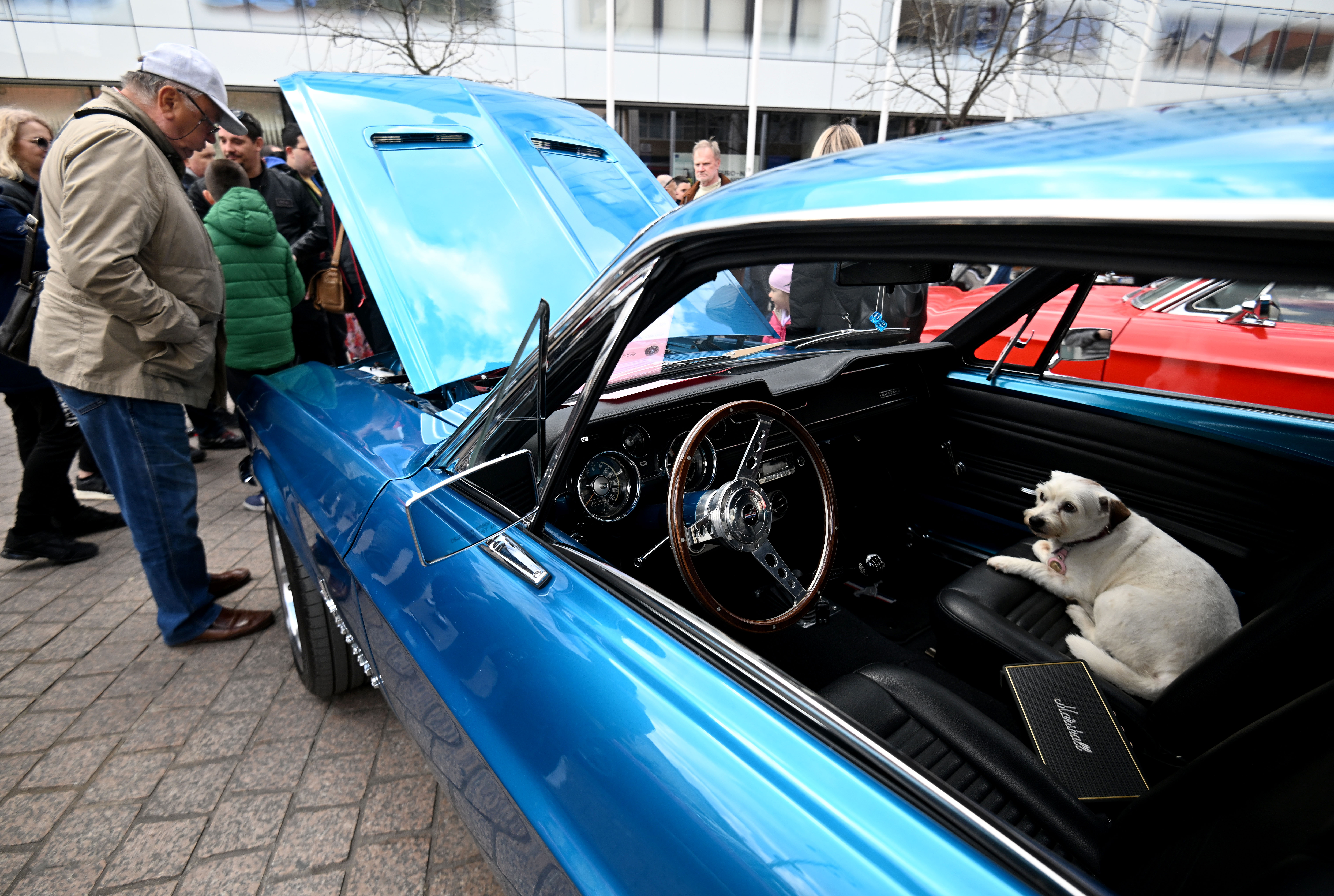 Marko Lukunić/PIXSELL