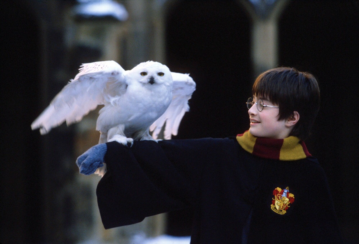 Harry Potter and the Sorcerer's Stone (2001) - filmstill