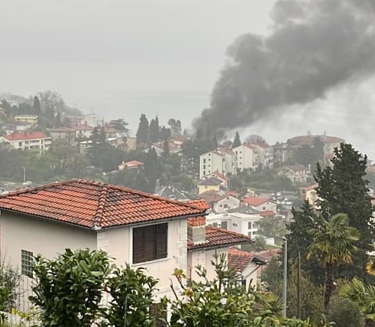 Željko Šuljić / Facebook