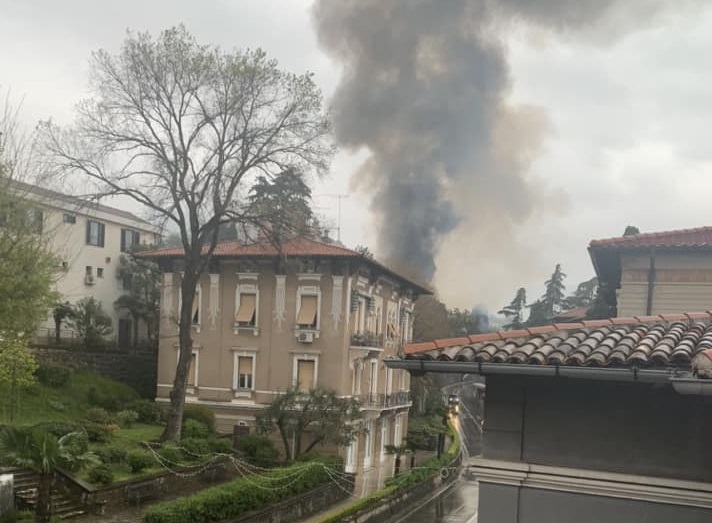 Ingrid Bračković / Facebook