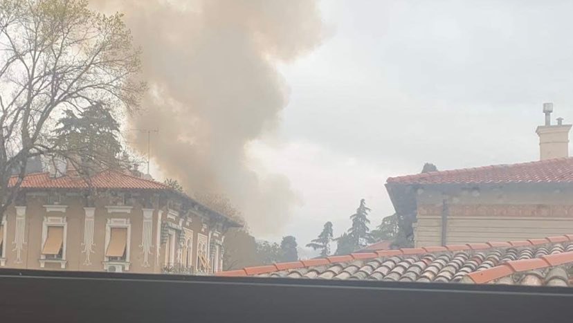 Ingrid Bračković / Facebook