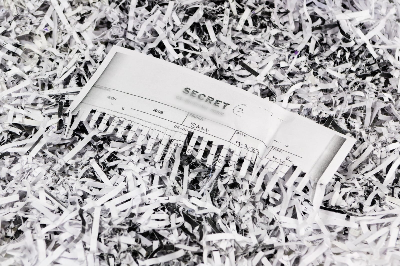 WhatsApp Image 2023-04-13 at 17.54.08