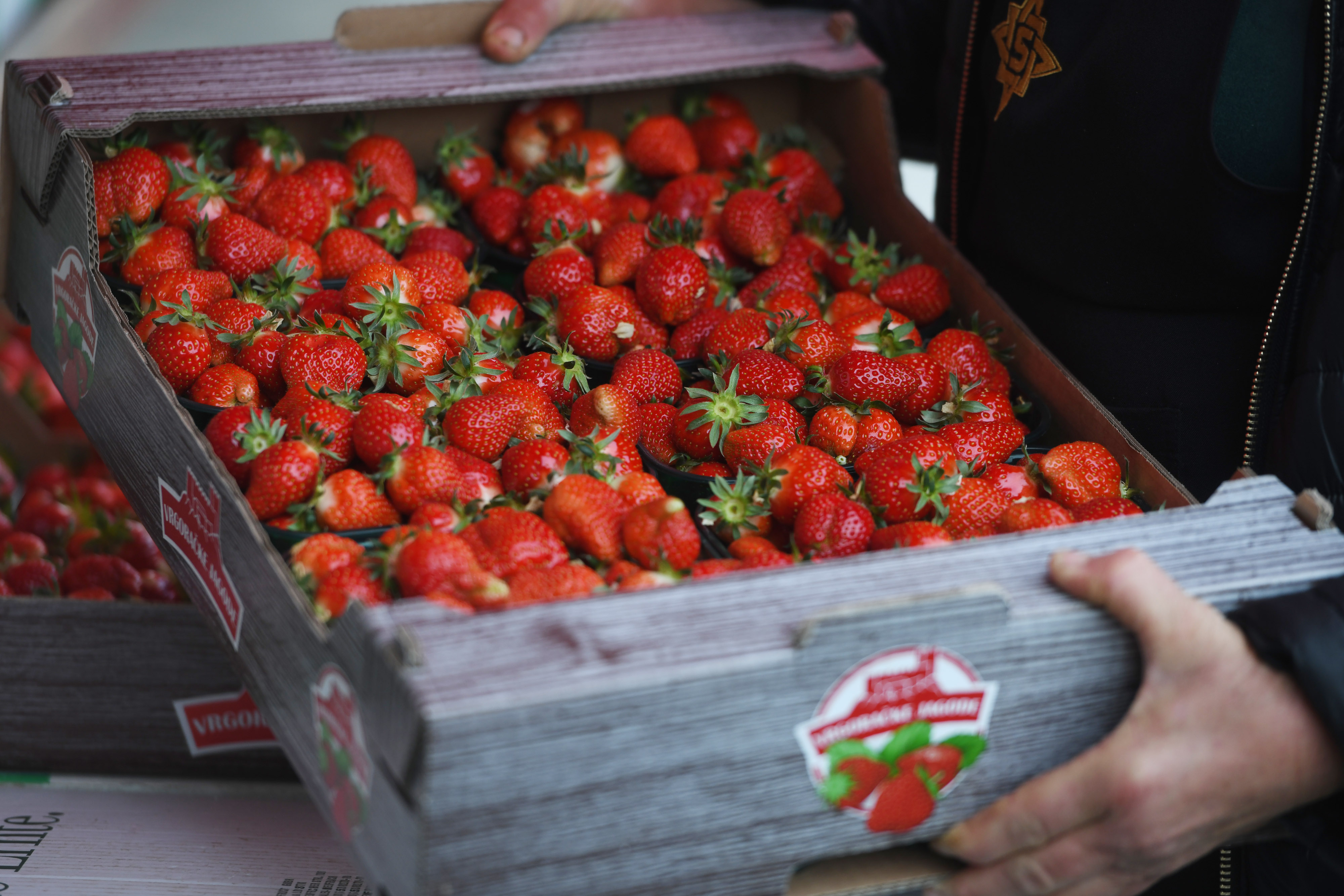 ibenik: Zapo?ela prodaja vrgora?kih jagoda