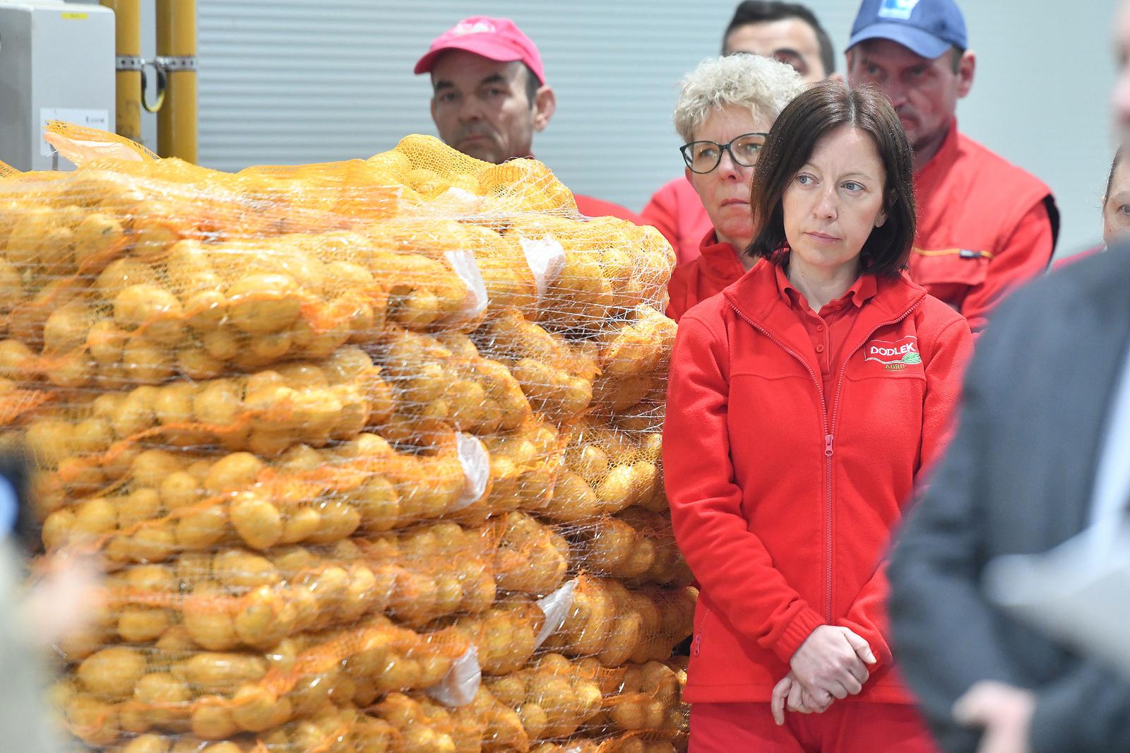 Belica: Najveći otkupljivač krumpira Mirjan Dodlek održao konferenciju za medije