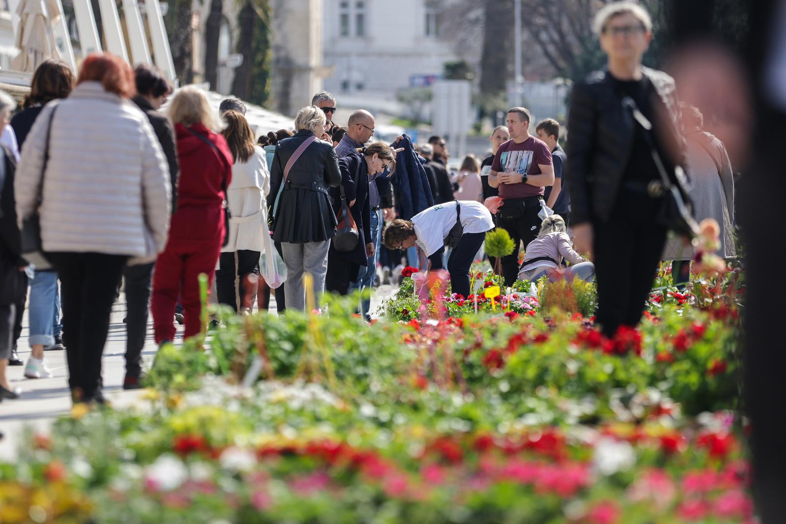 Suncem okupana nedjeljna splitska pica