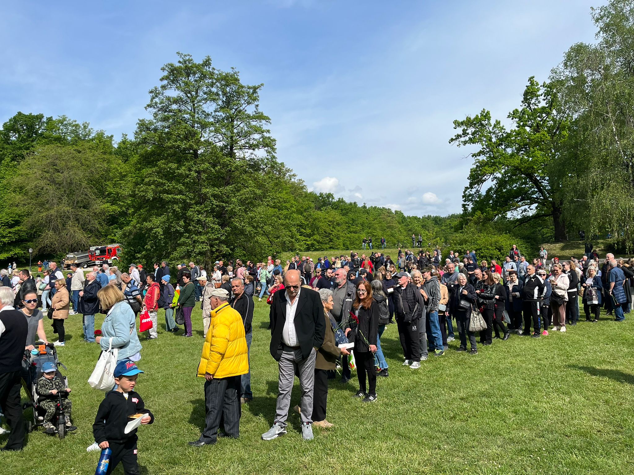 Nikolina Matošević / N1