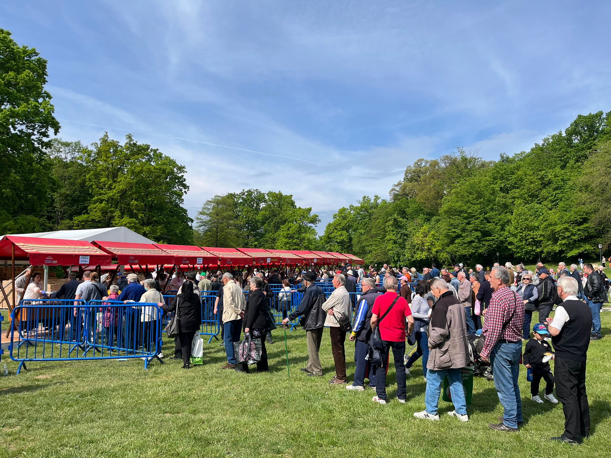 Nikolina Matošević / N1