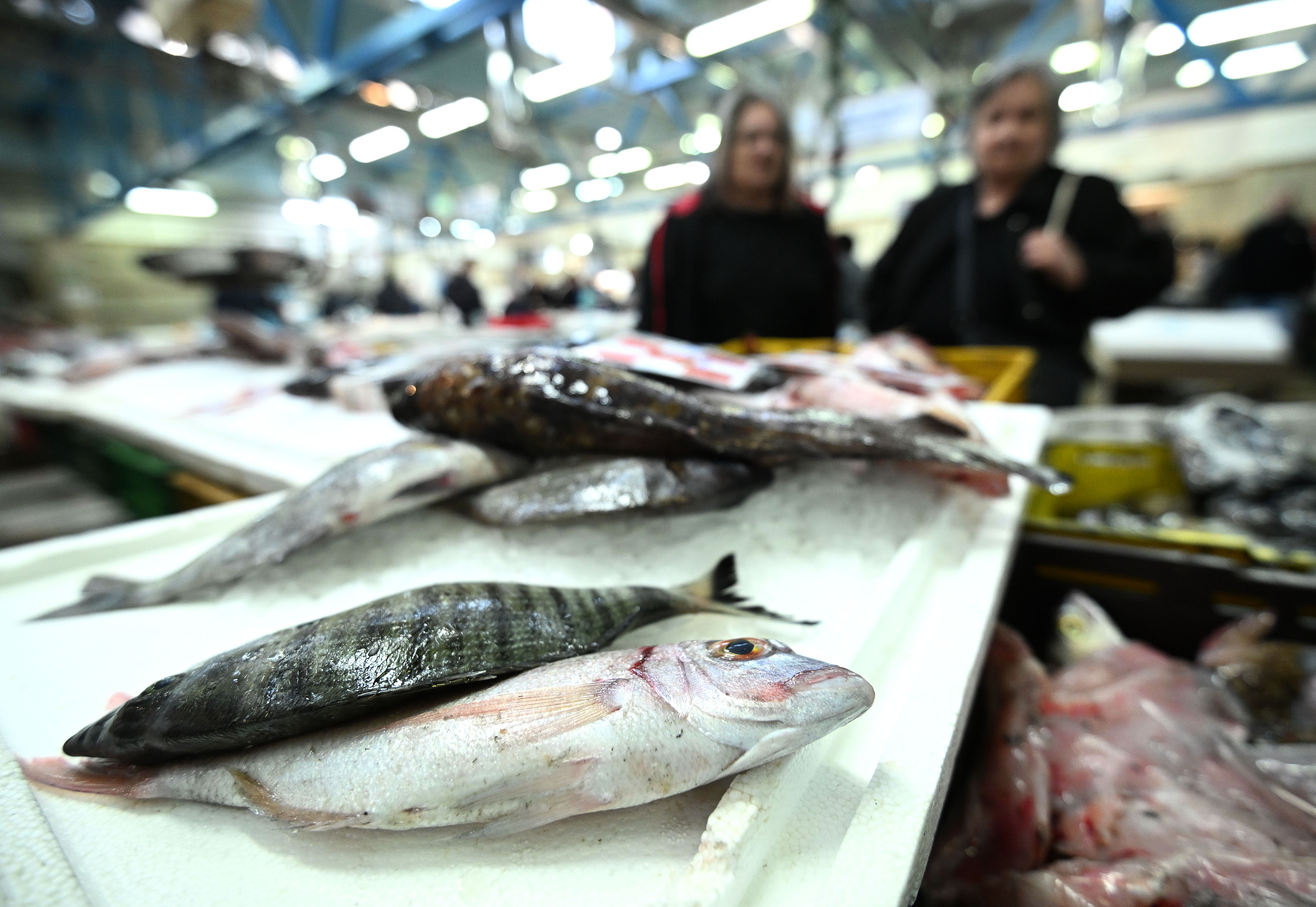 Zagreb: Ponuda svježe ribe na Dolcu