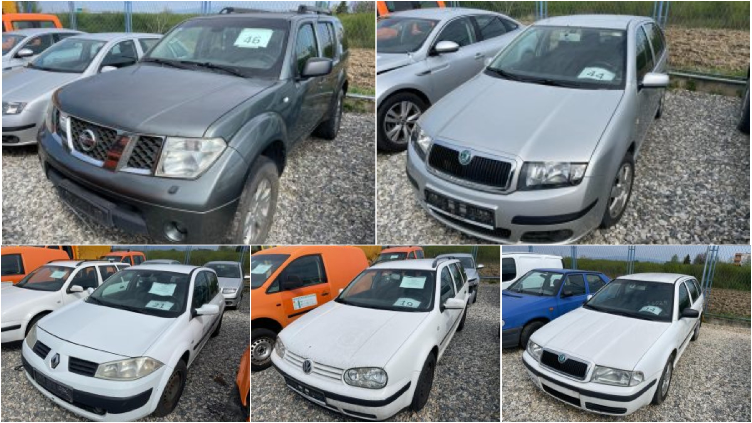 Collage Maker-10-May-2023-03-47-PM-7354