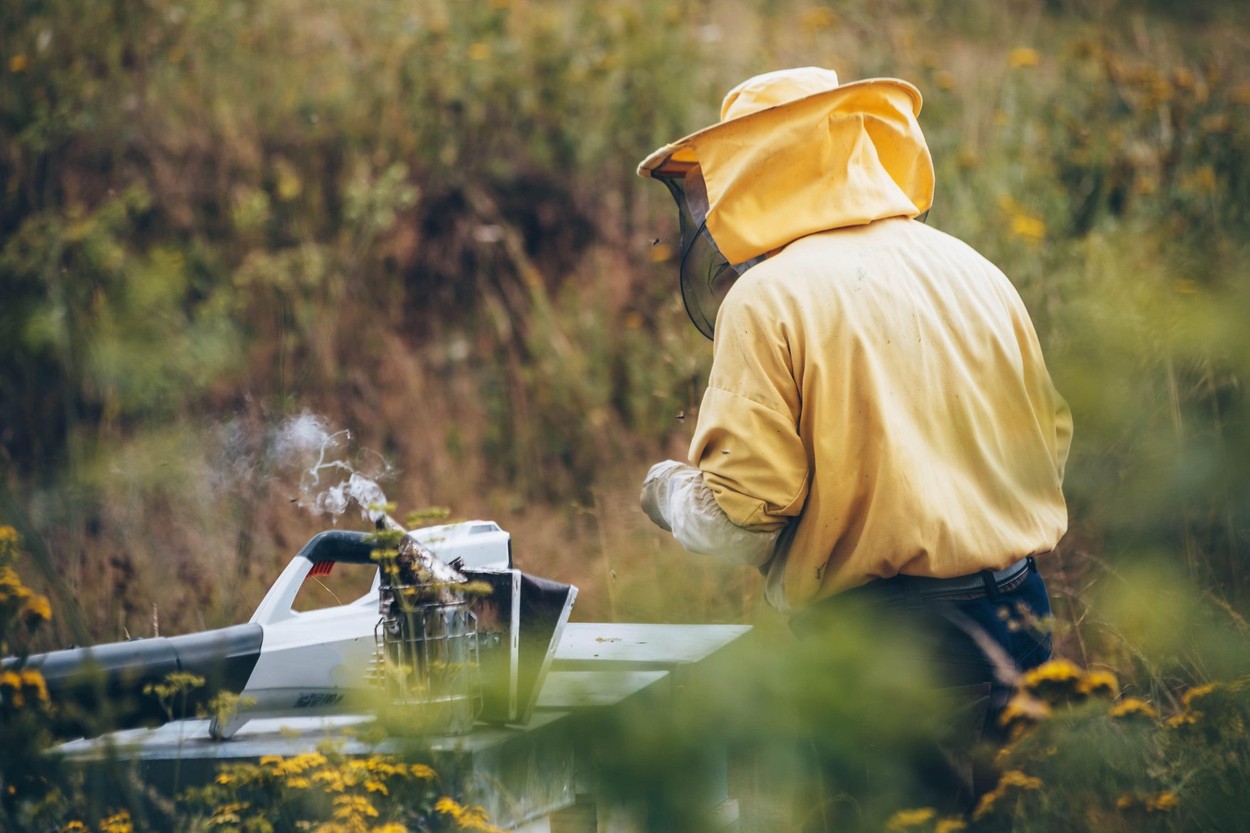 Portrait of a beekeeper in protective wear working with the bee smoker equipment. Beekeeping concept, copy space