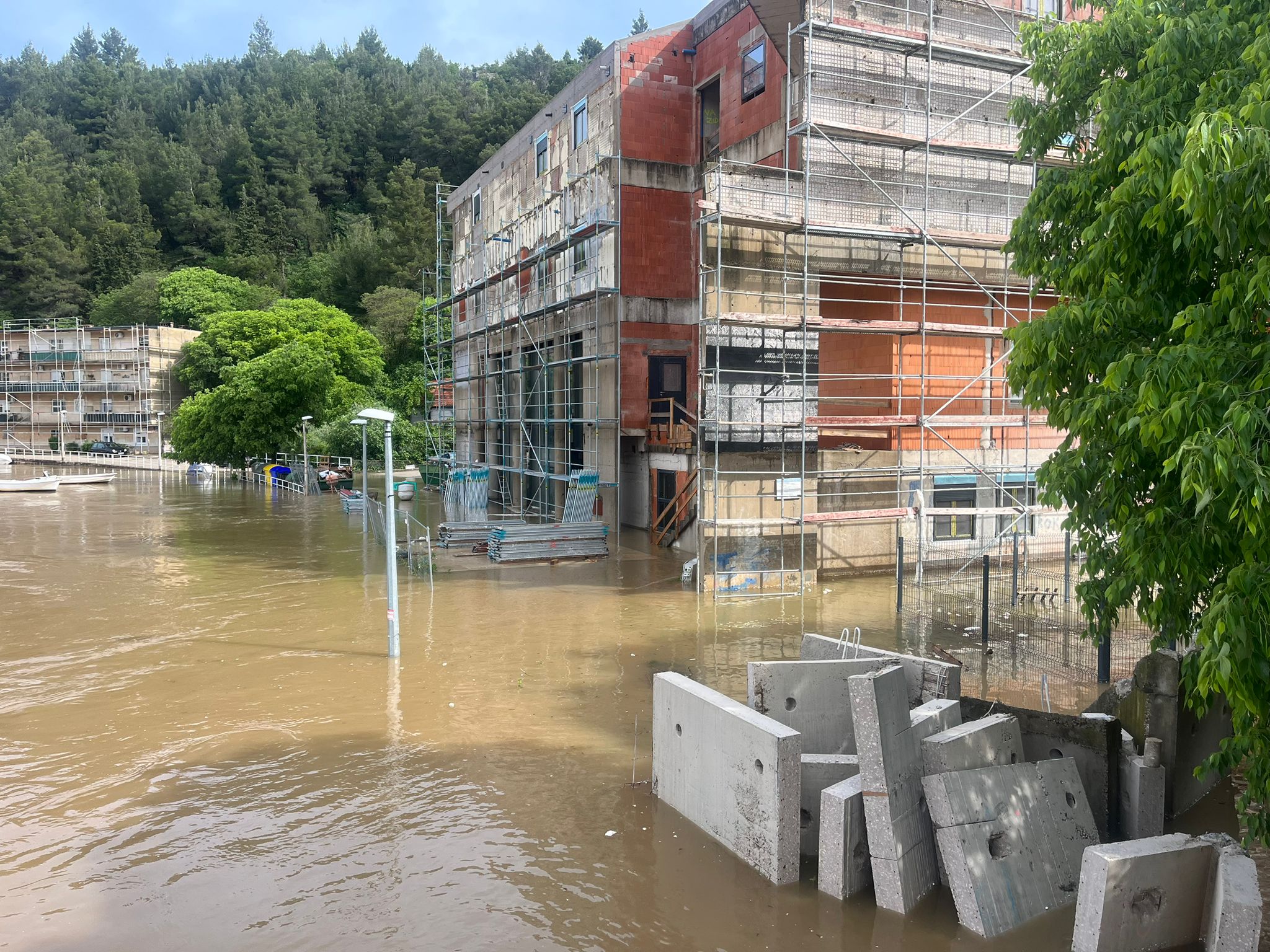 N1 / Vesela Šegvić