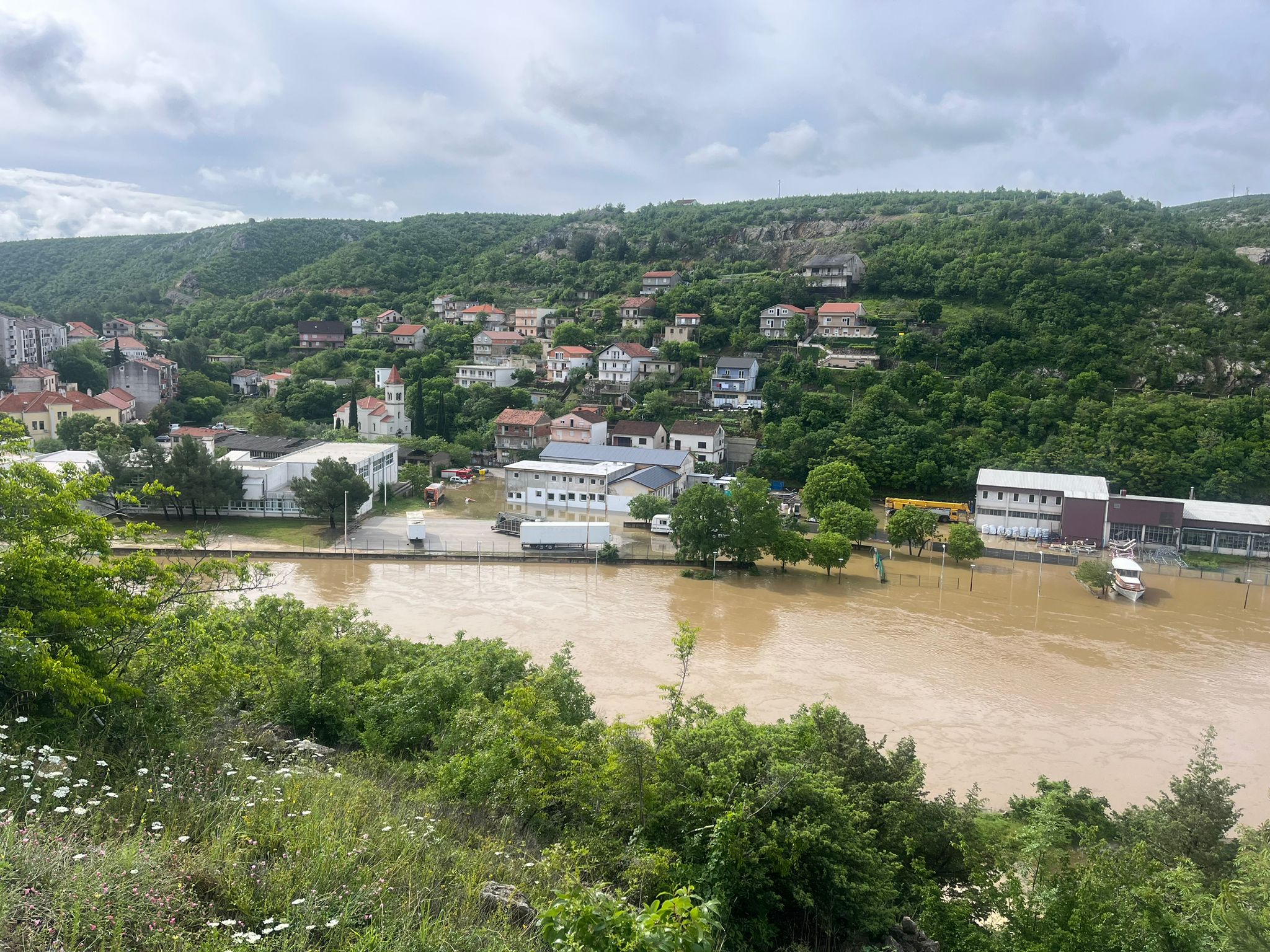 N1 / Vesela Šegvić