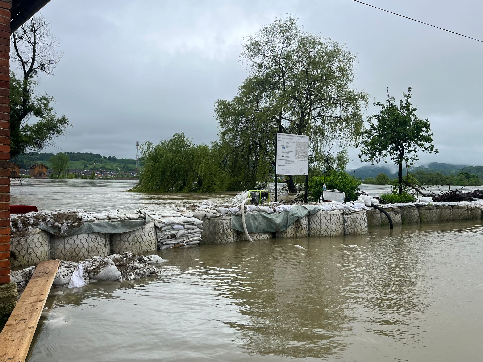 N1 / Nataša Vidaković