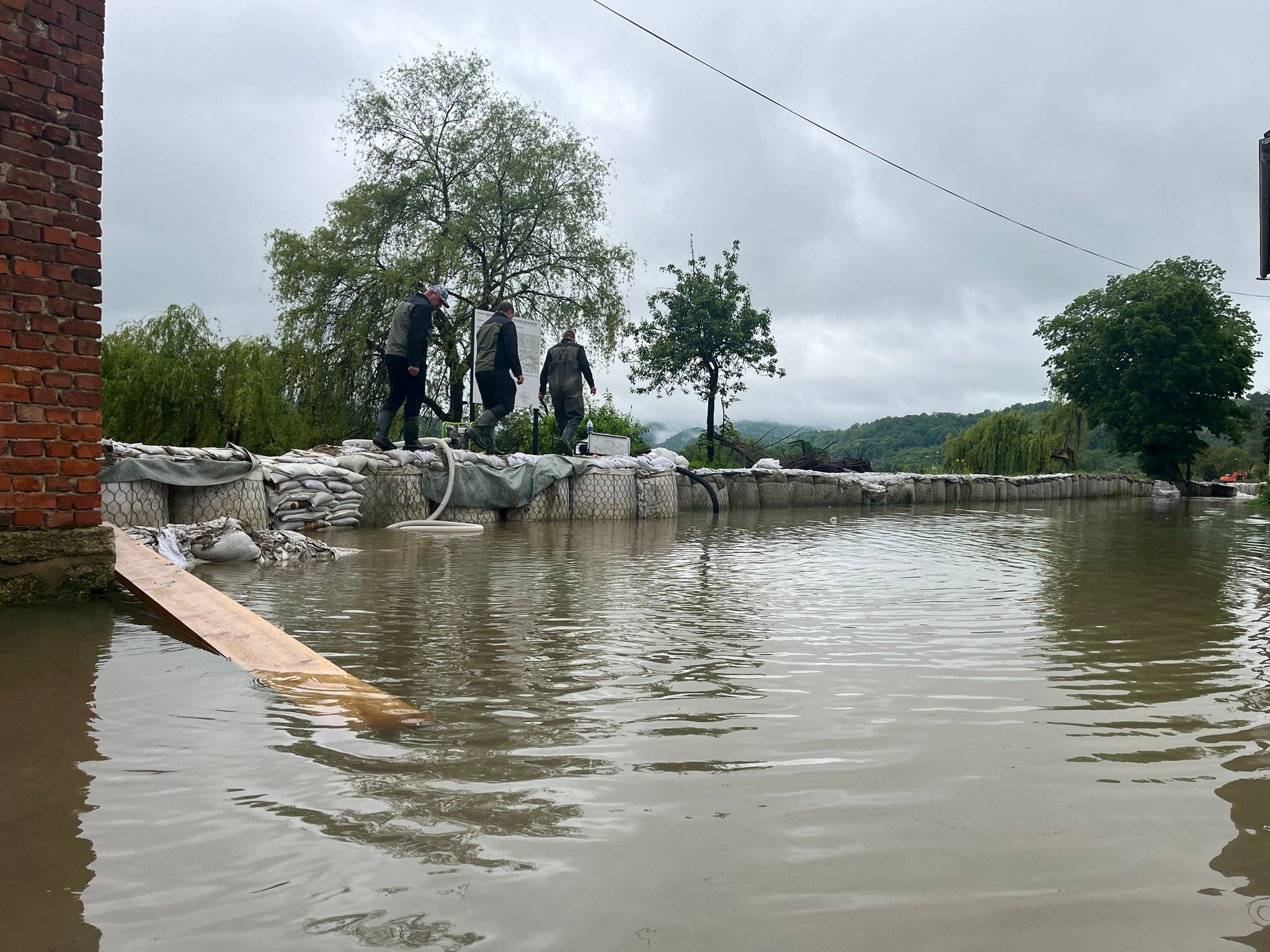 N1 / Nataša Vidaković