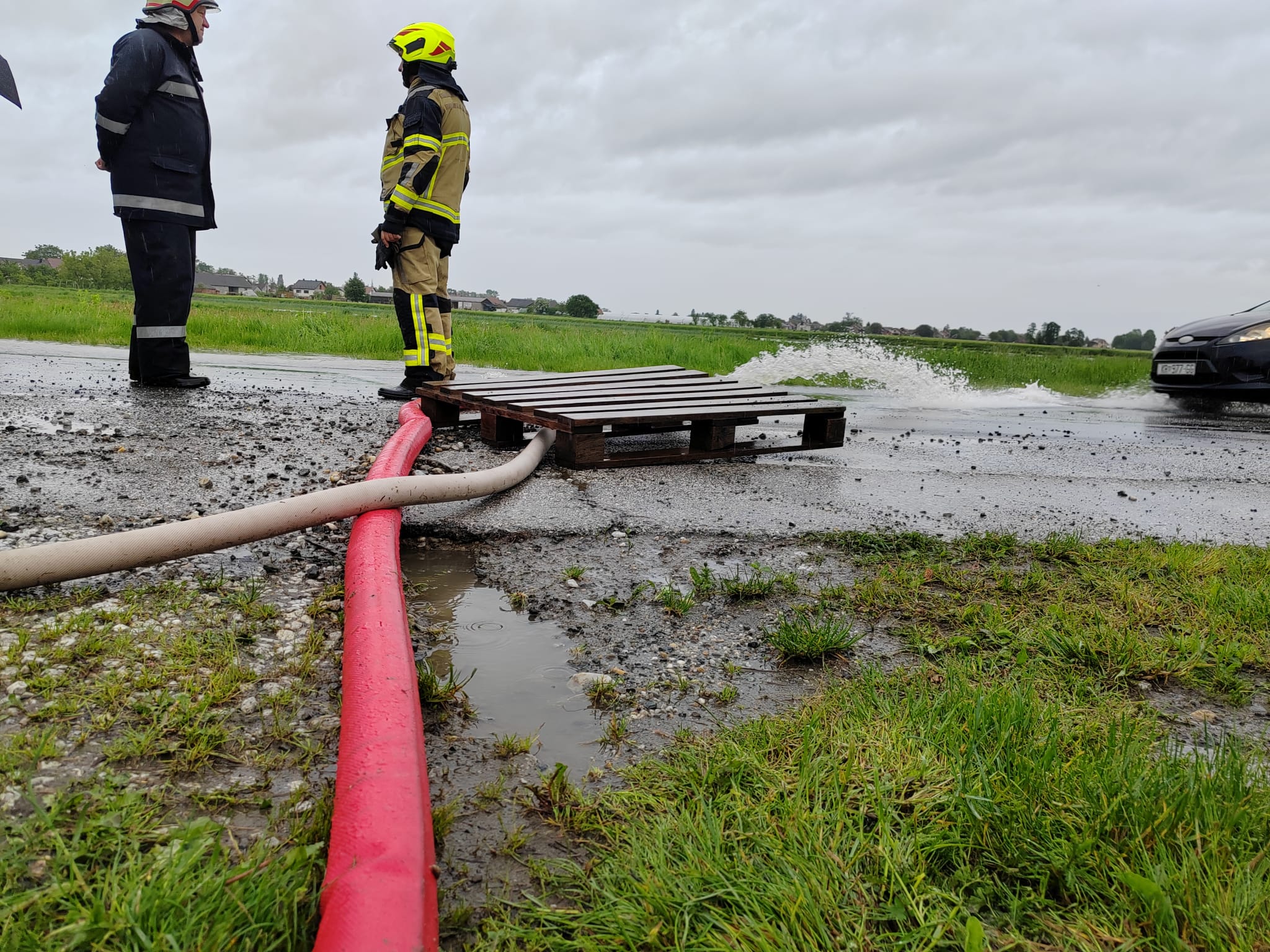 N1 / Nataša Vidaković