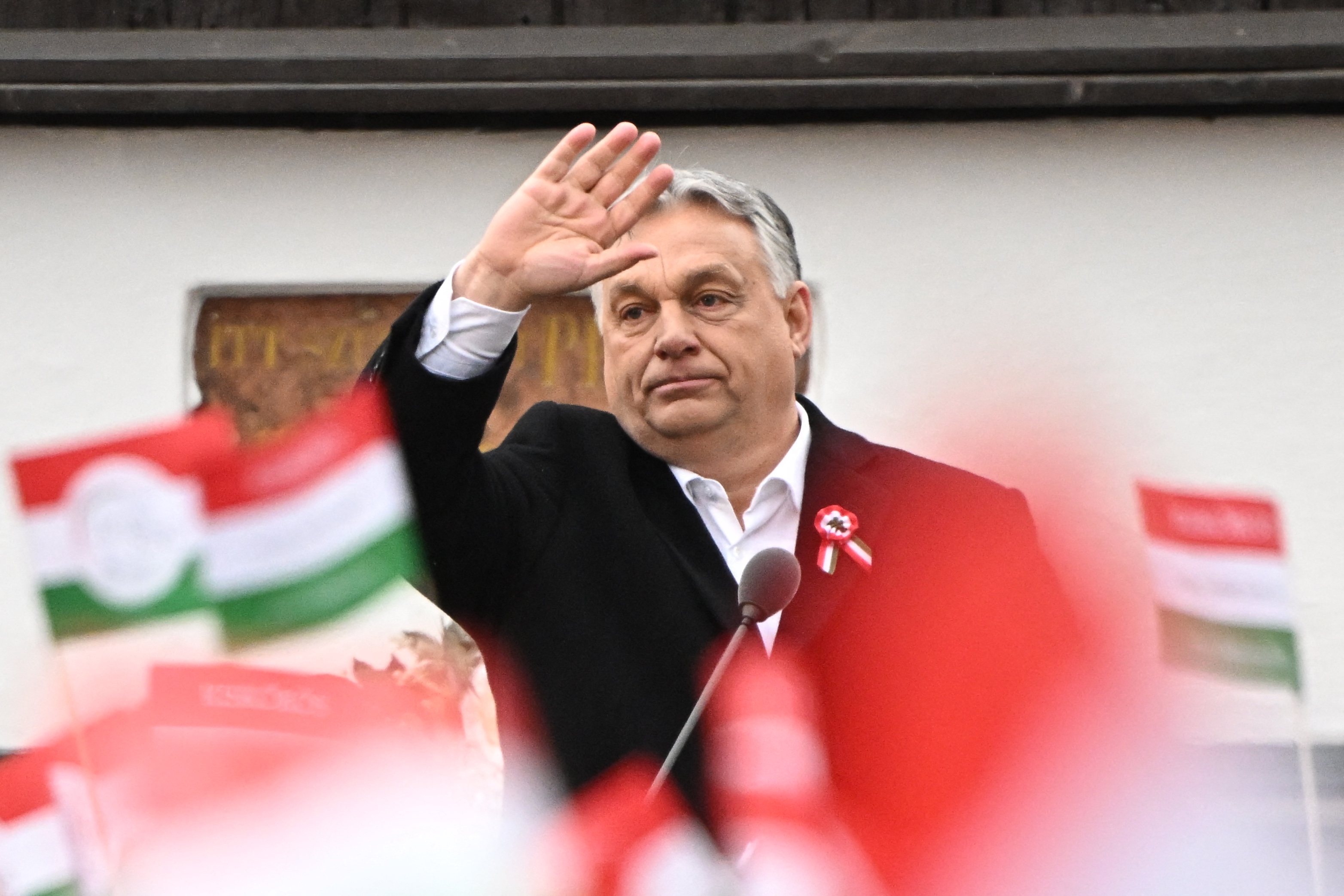 HUNGARY-POLITICS-HISTORY-DEMONSTRATION