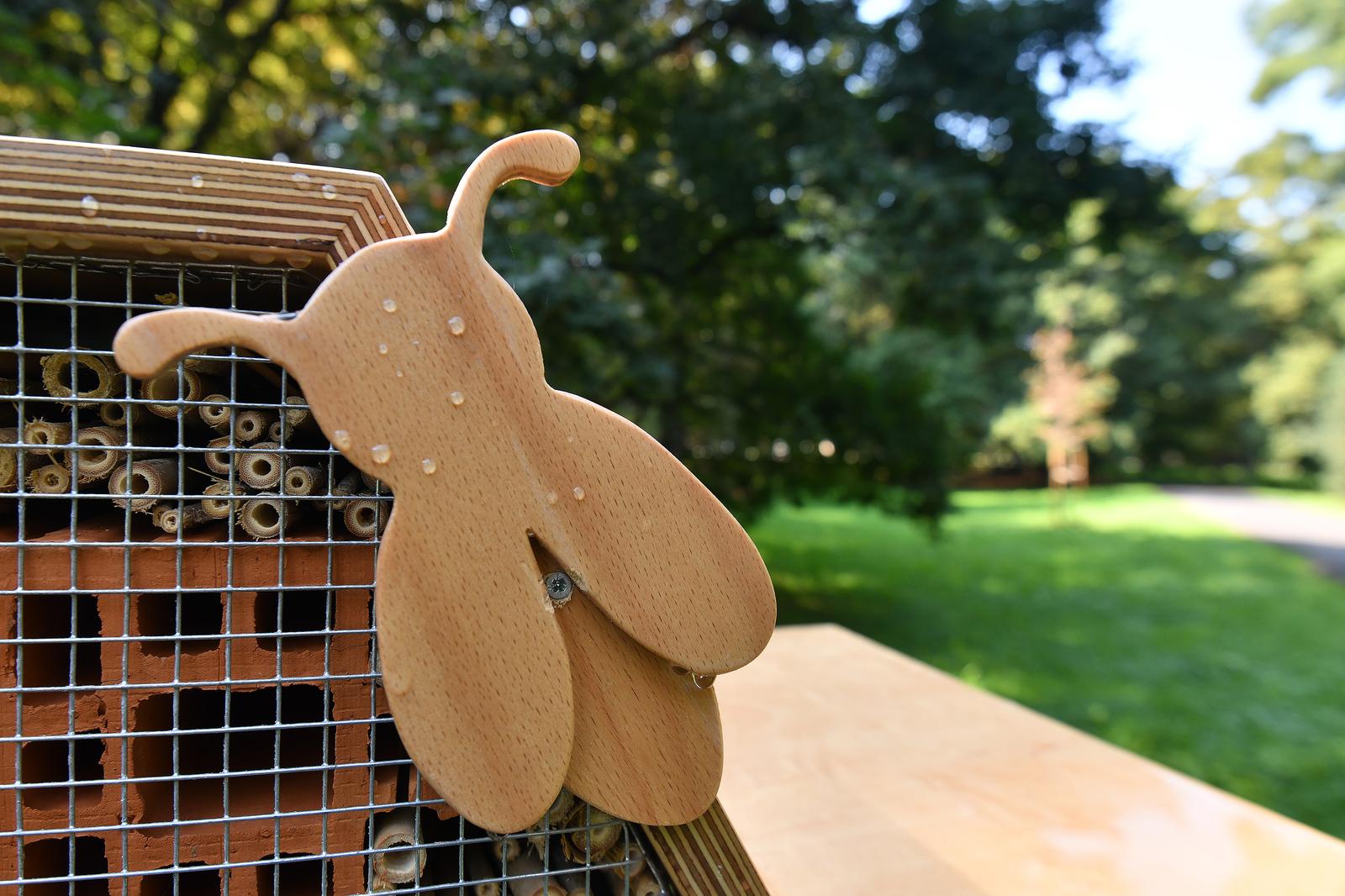 Napravljen hotel za kukce u Čakovcu i sve "sobe" su već zauzete