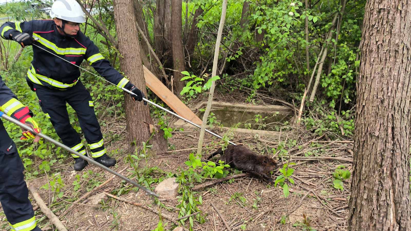 349048573_952845409169186_6766232222640730362_n