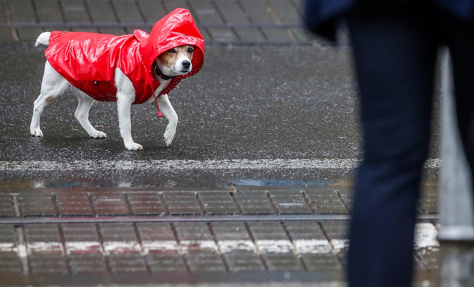 Zagreb: Proljetni pljusak donio je i kreativna pokrivala za glavu