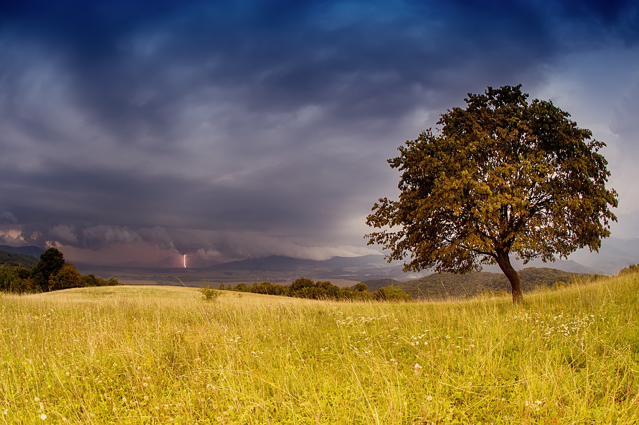storm, oluja, grmljavina, oblaci, pljusak, munje, stablo, drvo, livada,