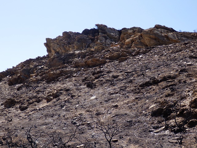 burned-land-g68681e4ea_640