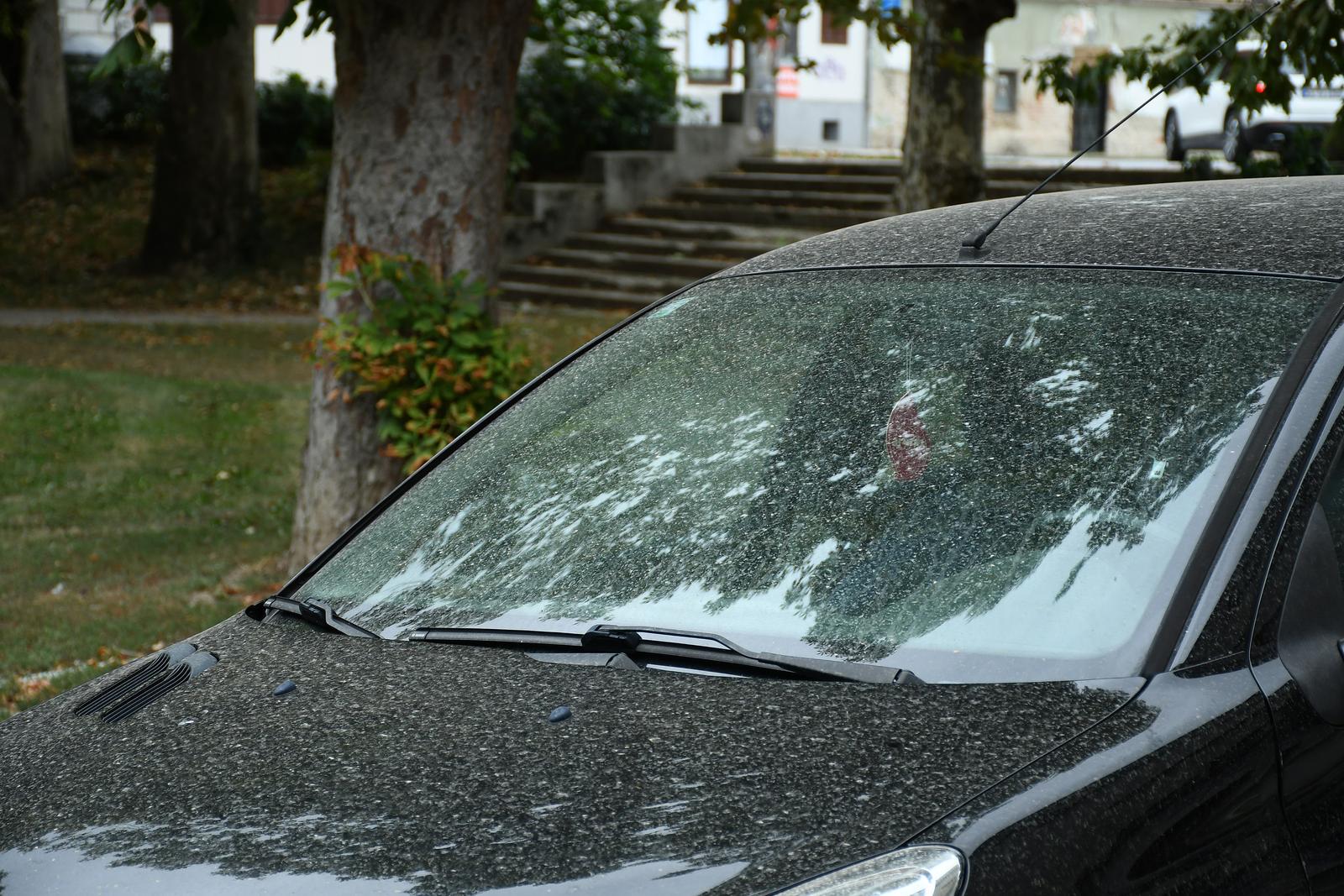 Pijesak i prašina prekrili automobile u Sisku