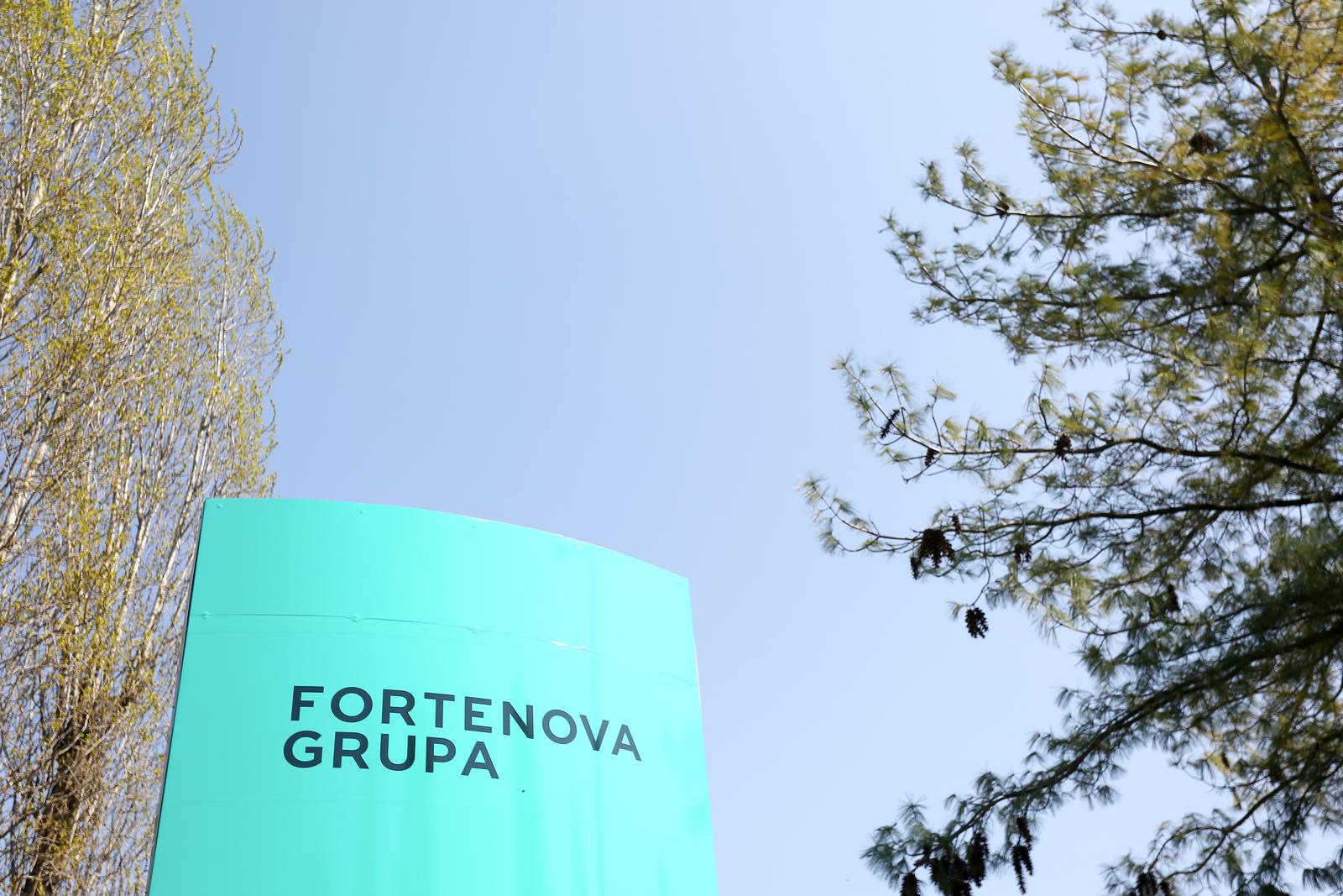 Prodaje se Fortenova grupa