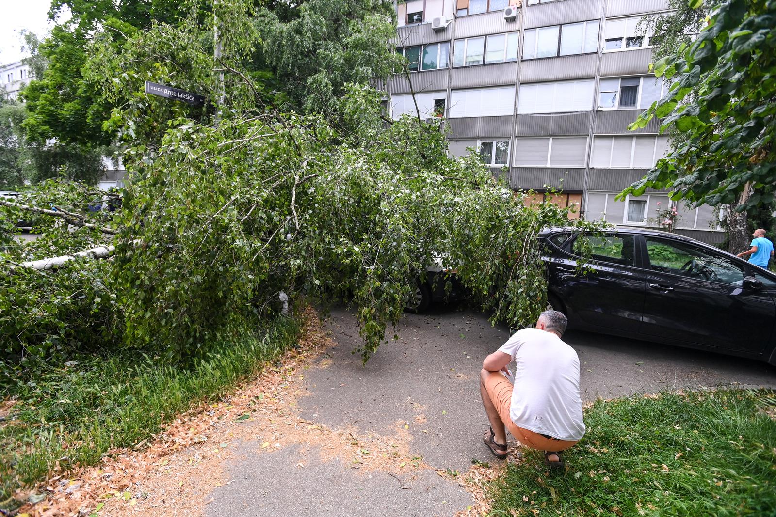 Zagreb: Olujni vjetar srušio stablo na cestu, tri automobila oštećena