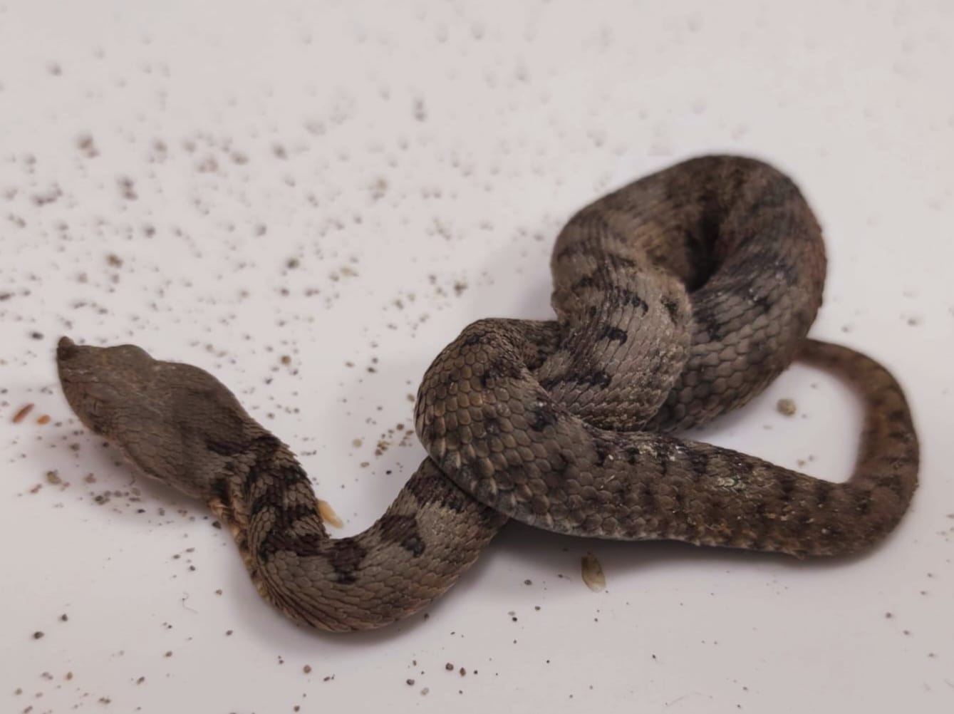 355686949_645531547608700_8390985522317679843_n