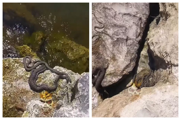 1688061692-zmije-jezero