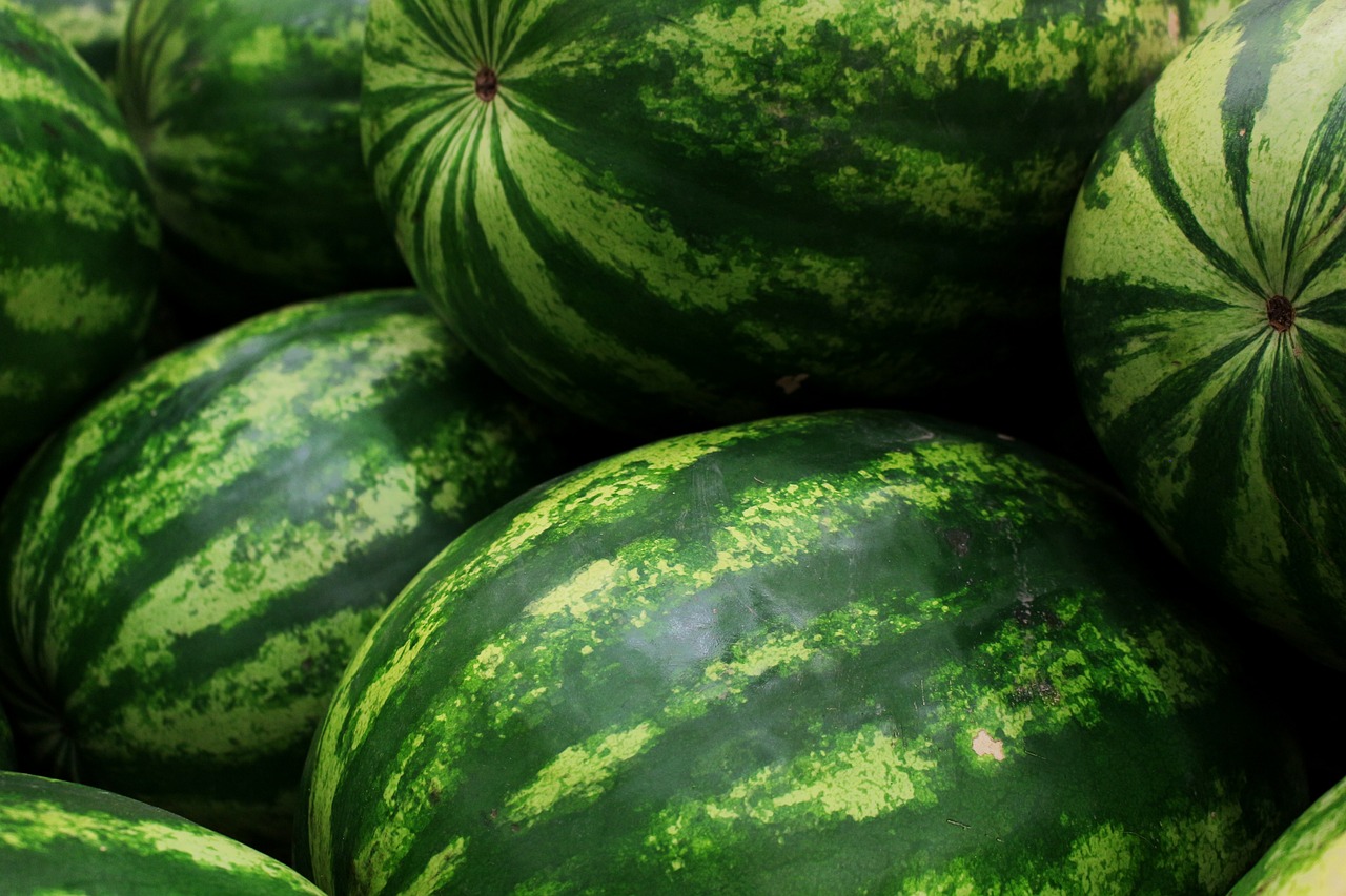 watermelons-5318938_1280