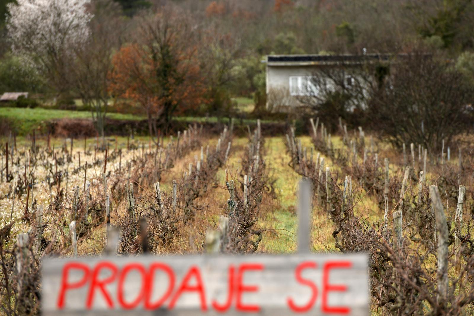U Dalmatinskom zaleđu sve je više zemljišta i vinograda oglašeno za prodaju