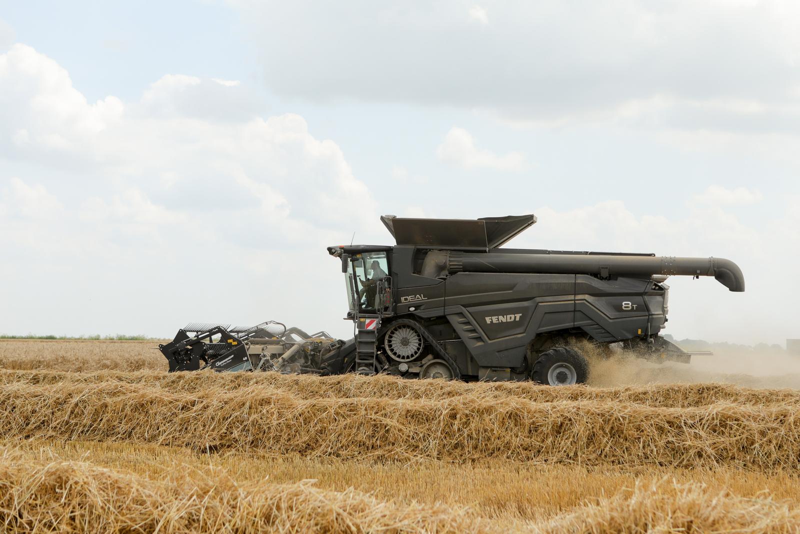 U Slavoniji počela žetva pšenice