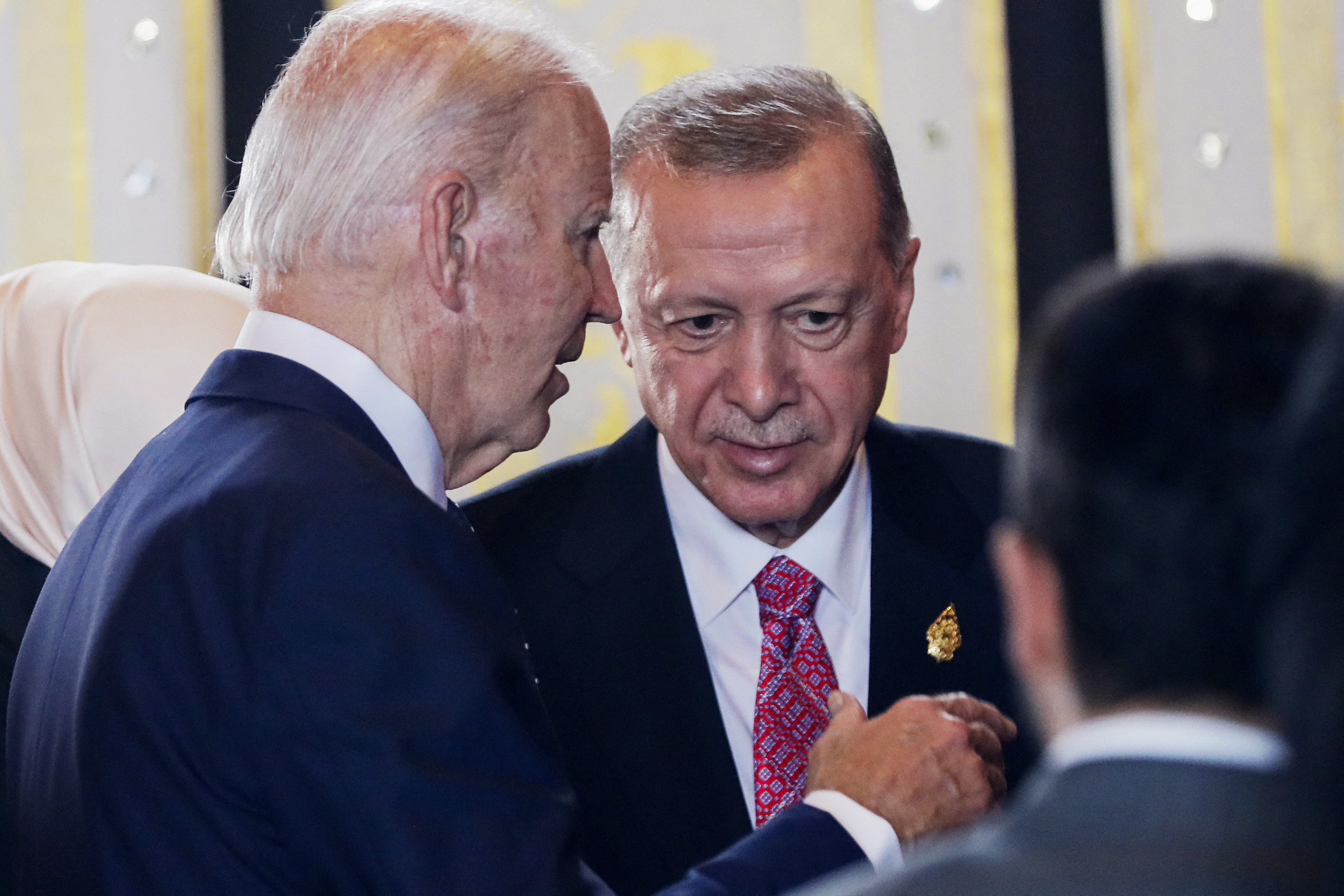 erdogan, biden
