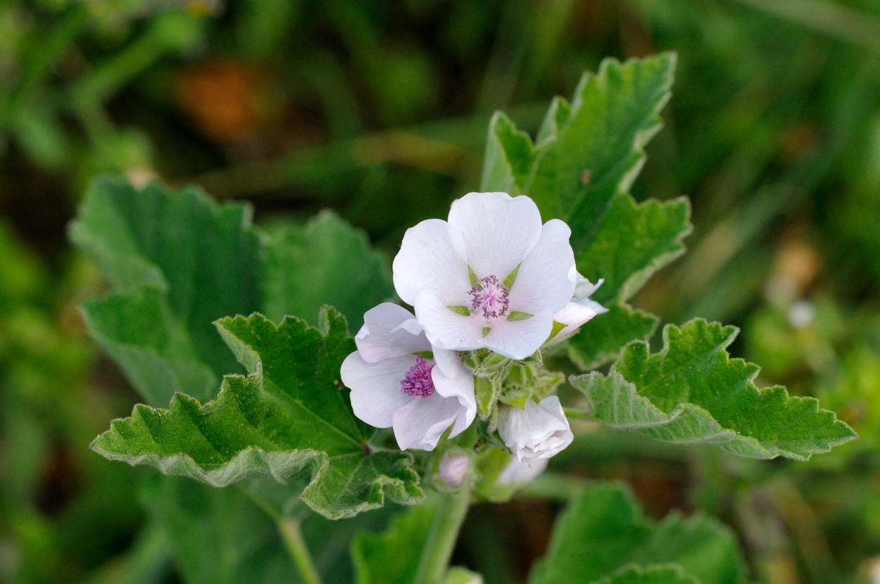 profimedia-0472062451