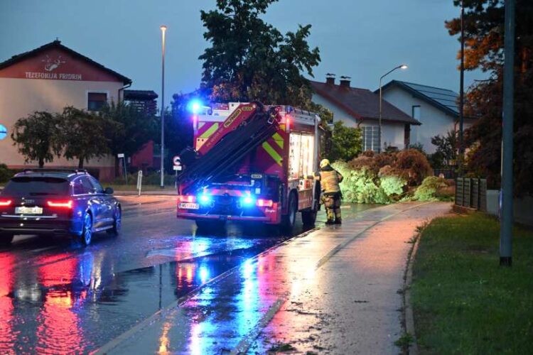  Jure Zauneker/Vestnik.si 